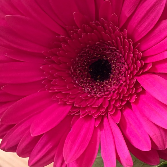 ljy0817
